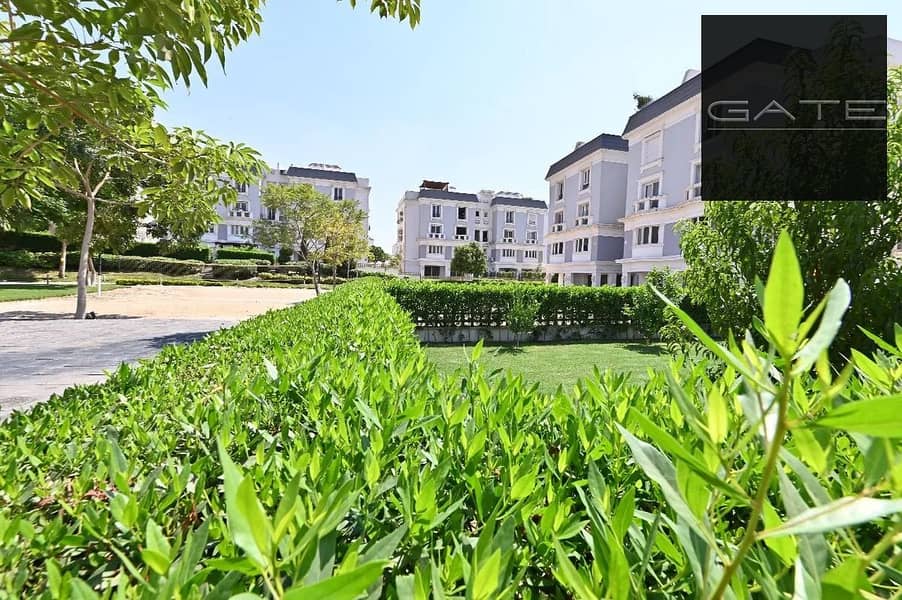 2 bf4c482f-dd85-490e-8b11-171681cff0a2. jpeg