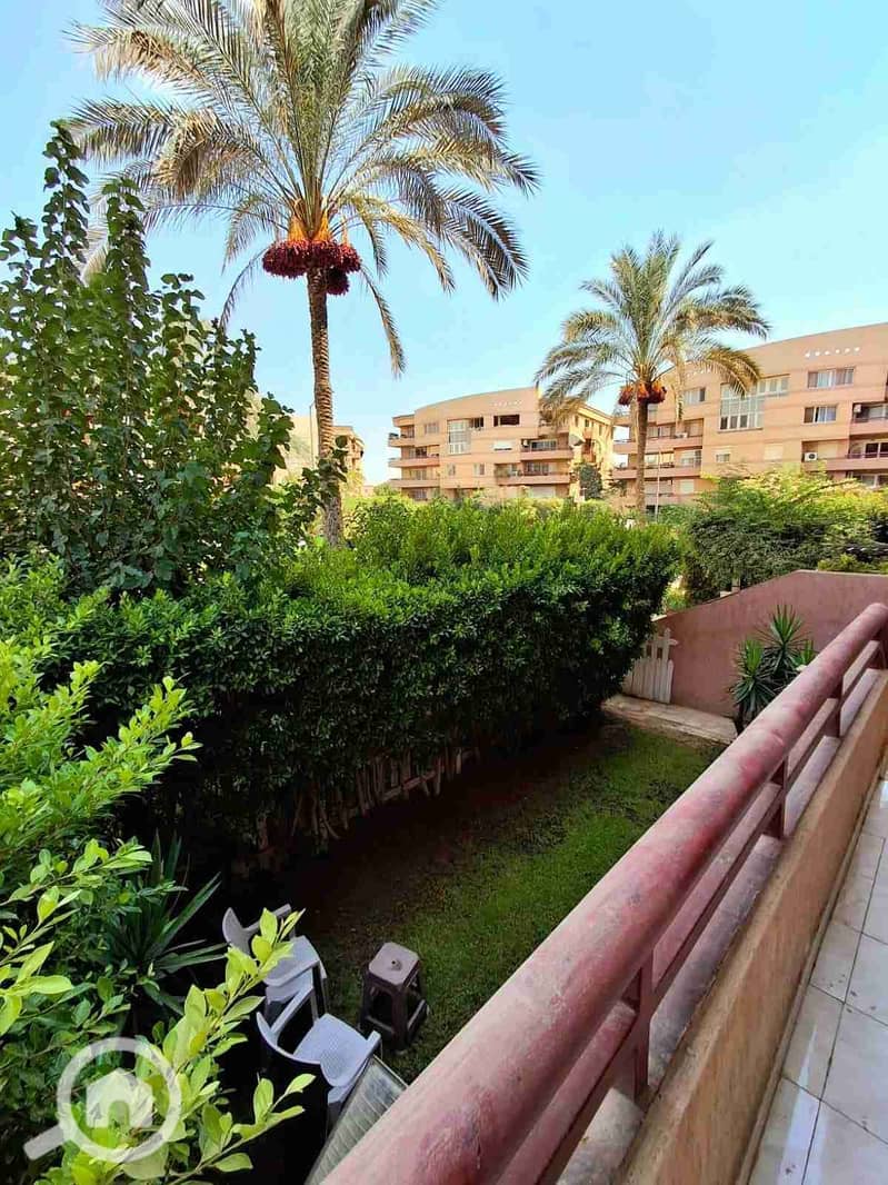 12 IMG_٢٠٢٥١٠٢٦_١٨٢٠٠٨. jpg