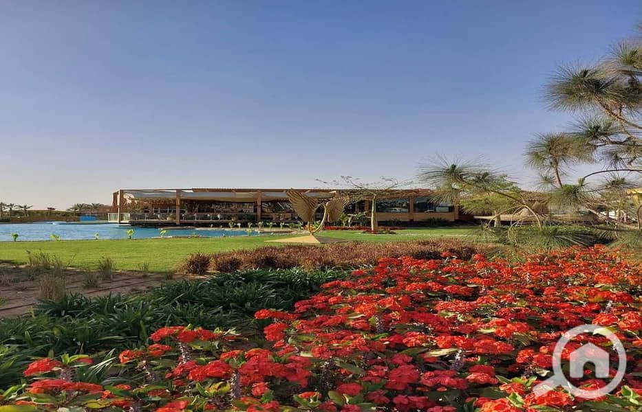 9 b33e5617-8f0b-4bd2-a403-7bf3c517fc24. jpg