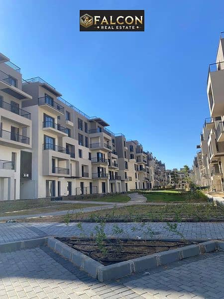 12 428219508_7121033794612364_762492482092261752_n. jpg