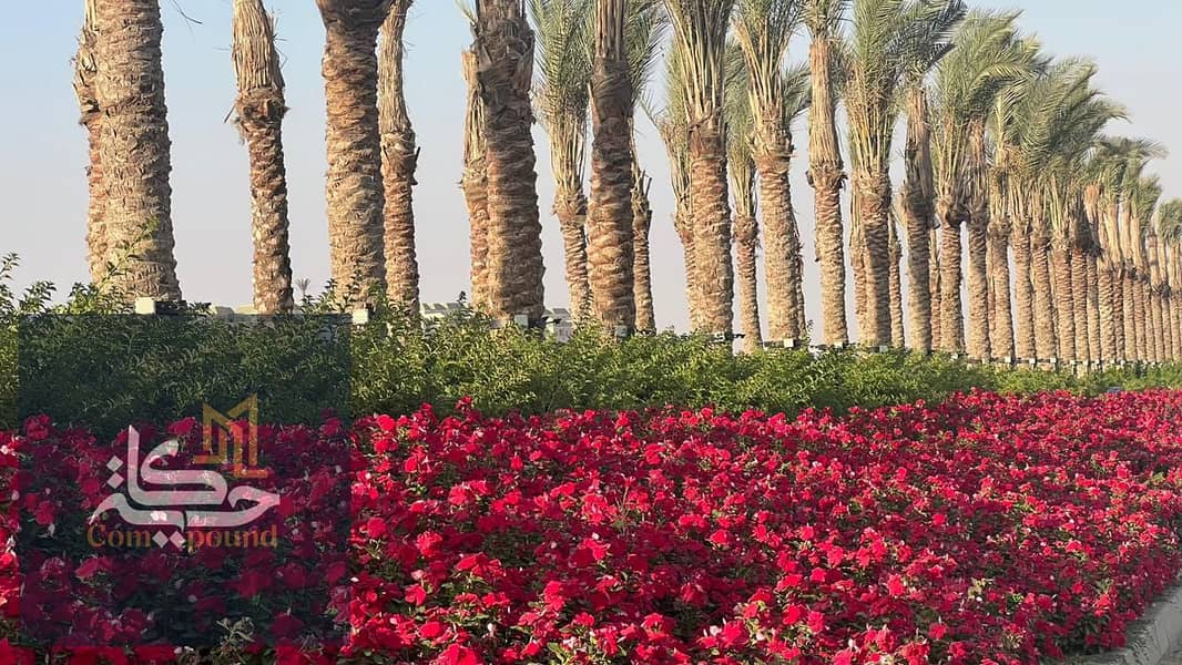 15 IMG-20251103-WA0158. jpg