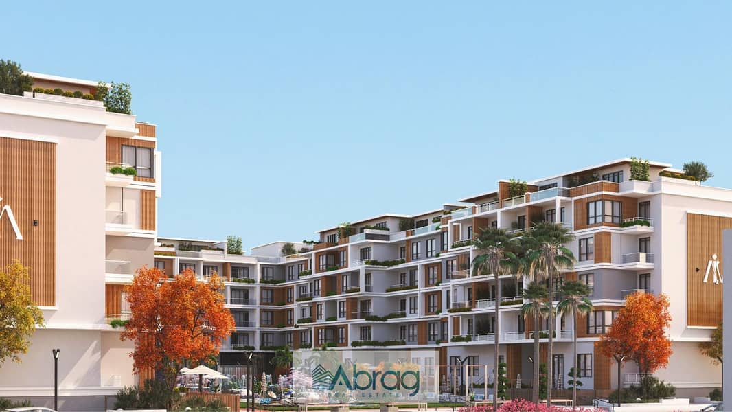 6 WhatsApp Image 2025-08-18 at 18.06. 29_dedb25b0. jpg