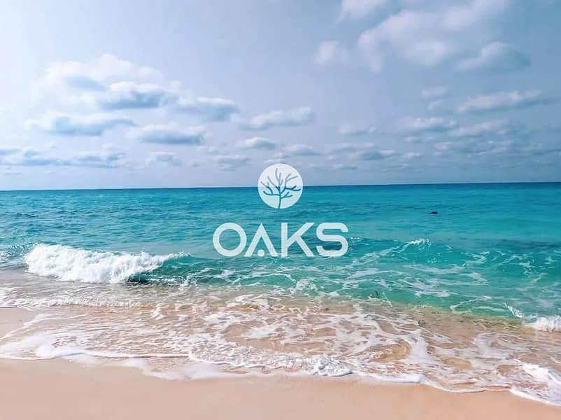 10 510445034_1502651557810259_1540766334993325126_n. jpg