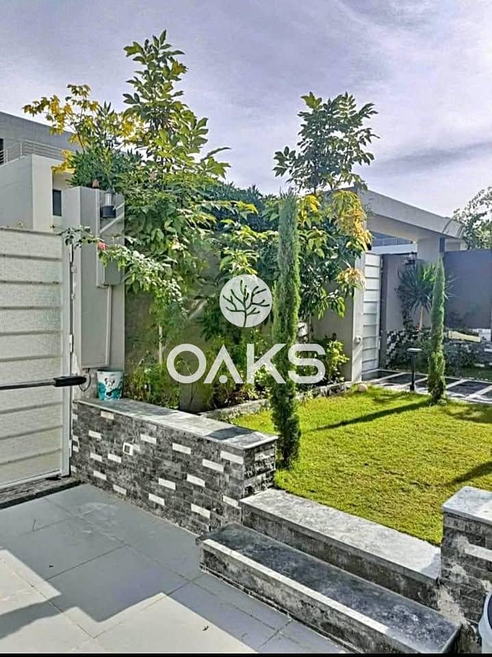 7 510474425_2643982229368828_4032126227111248817_n. jpg