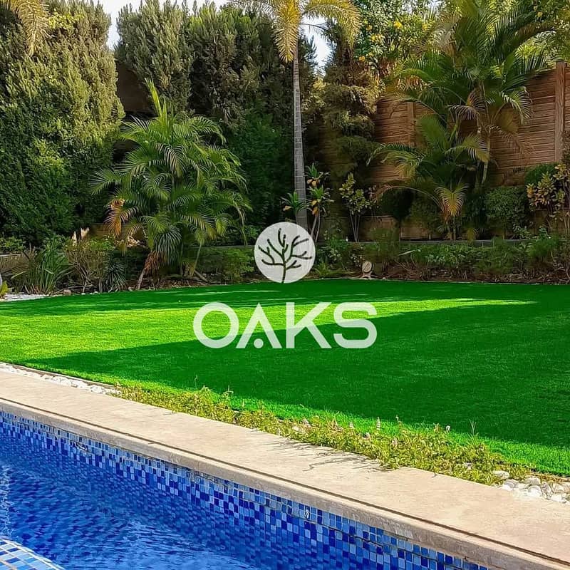 10 515271454_1325756692884258_703126319291235419_n. jpg