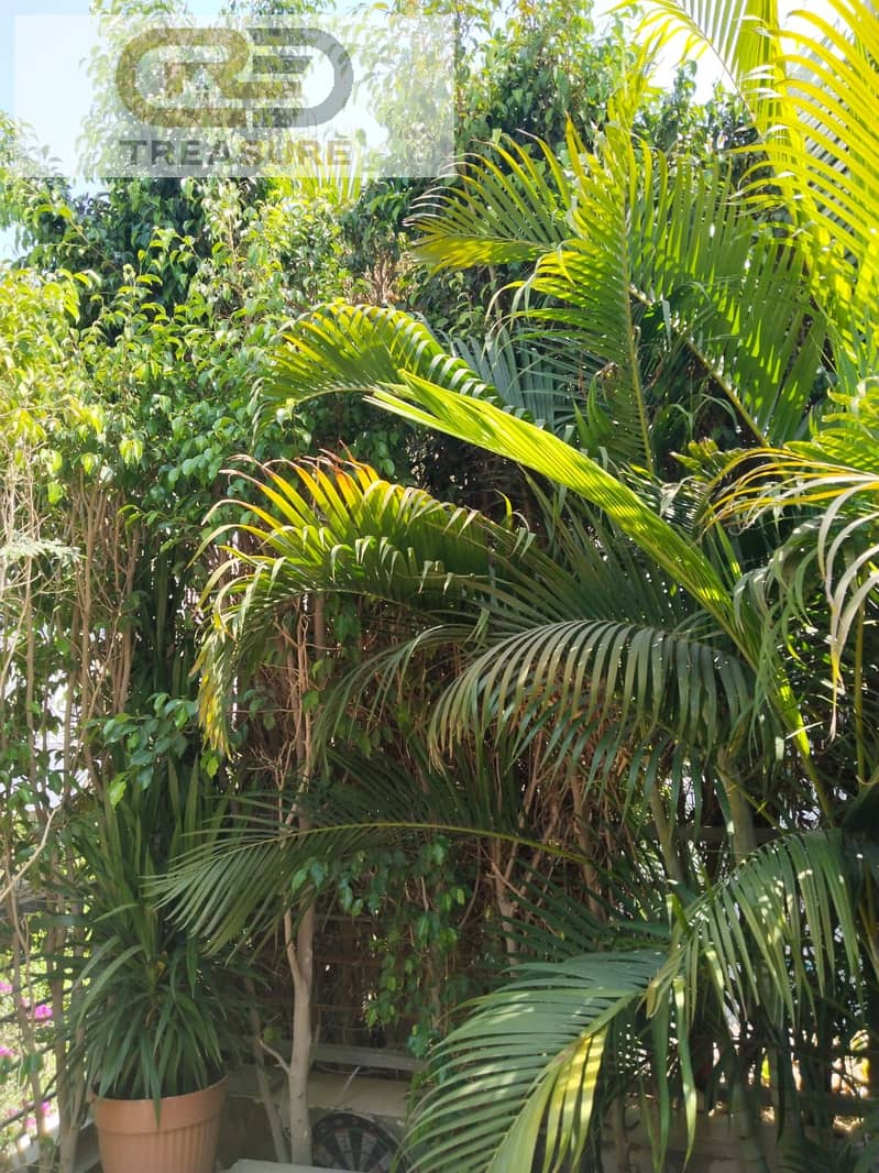 5 WhatsApp Image 2025-11-03 at 1.59. 11 PM (1). jpeg