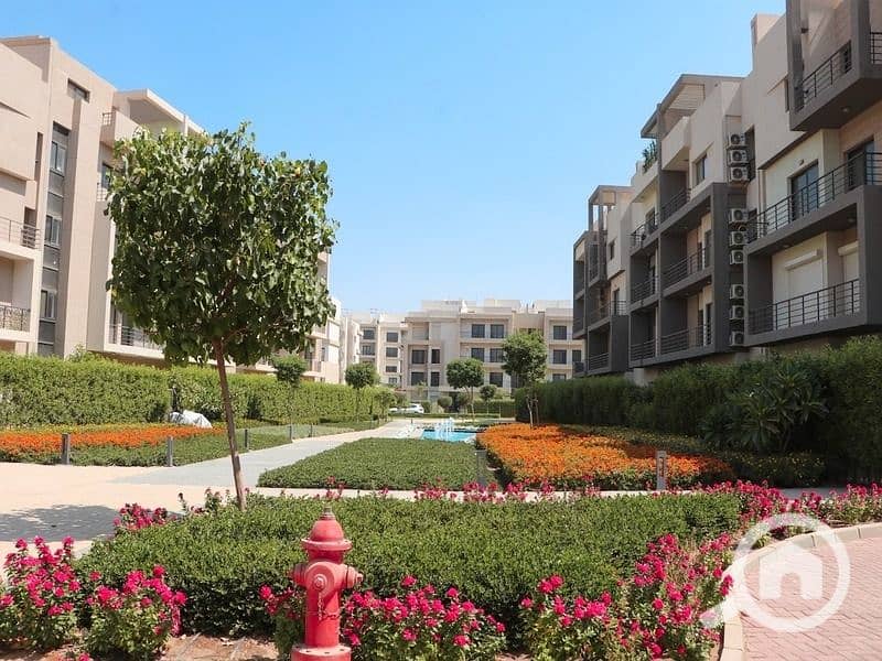 9 WhatsApp Image 2025-11-02 at 17.36. 28_26c7bf99. jpg