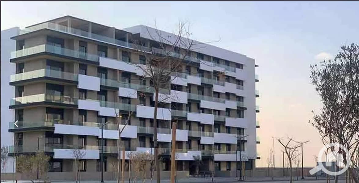 5 WhatsApp Image 2024-01-18 at 1.15. 42 PM (1). jpeg