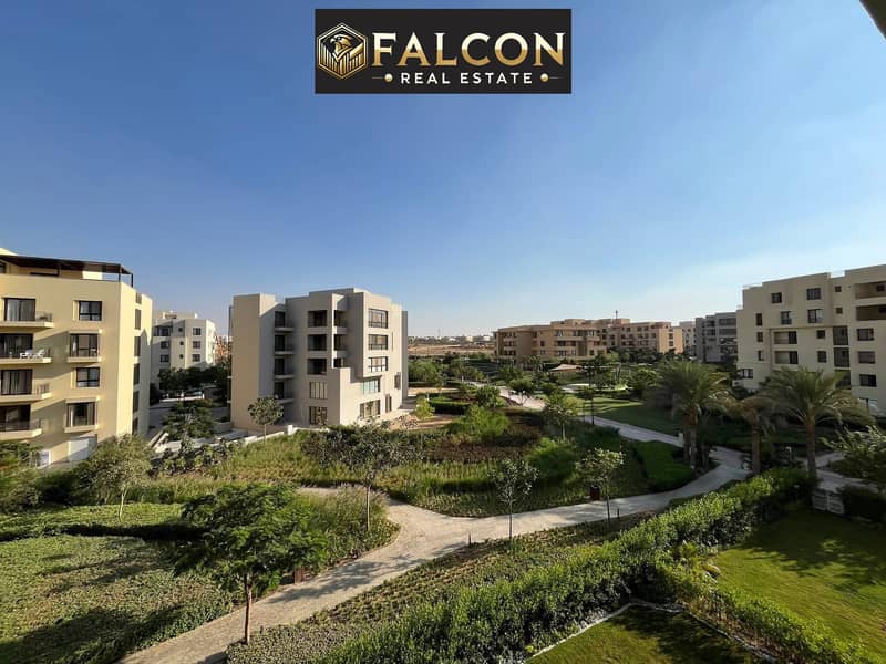 11 549801917_24615639868097754_8441228130848722841_n. jpg