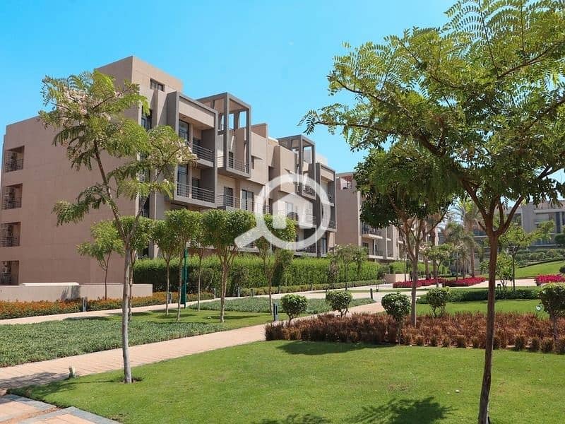 3 WhatsApp Image 2025-11-02 at 17.36. 27_a50504a1. jpg