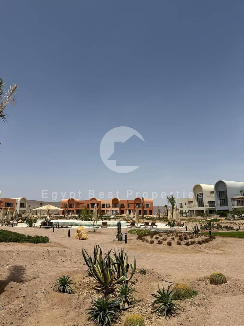 2 f7fc6651-bd48-46a1-a516-f220b6150ffc. jpeg