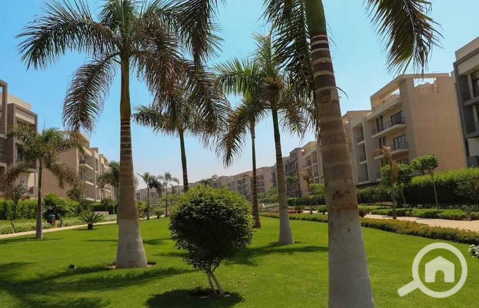 10 a3d65b76-4cff-4b58-ab20-0f8c5e8d2da8. jpg