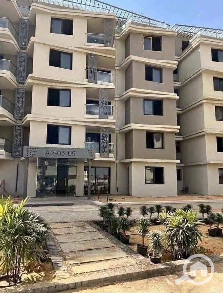 9 560615137_122156525432764402_9202627760009718038_n. jpg