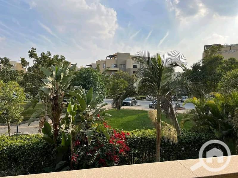 4 571010580_122142532064922617_5664077437942438062_n. jpg