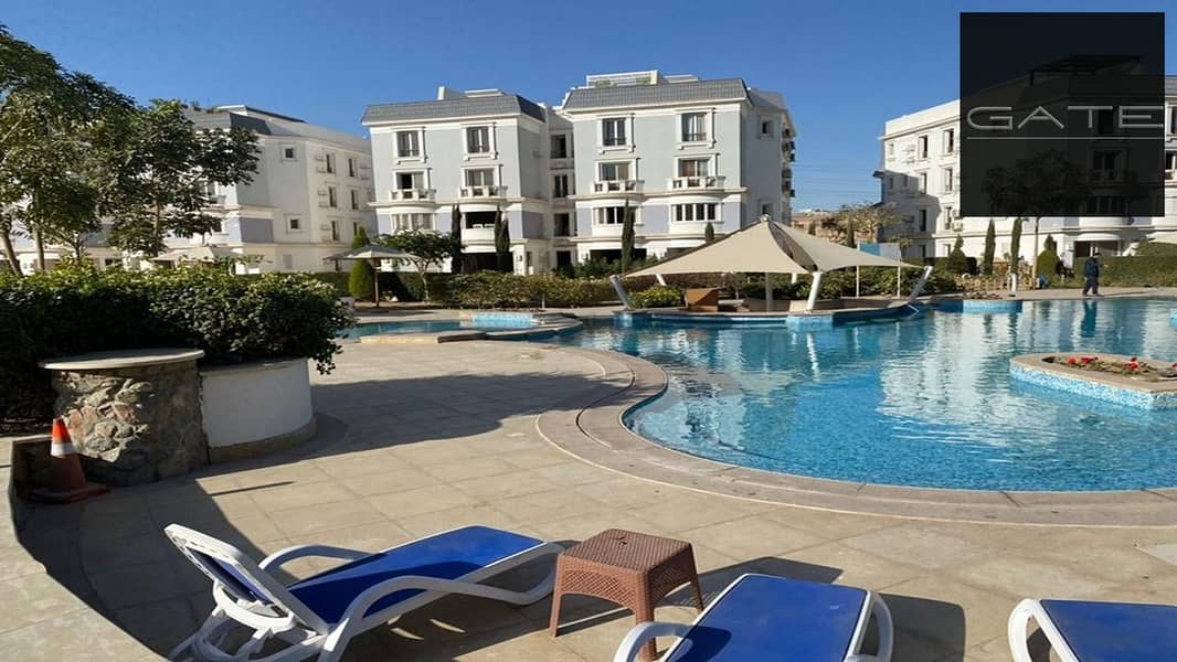 4 224871726_2876224845976727_7669240431261166820_n (1). jpg