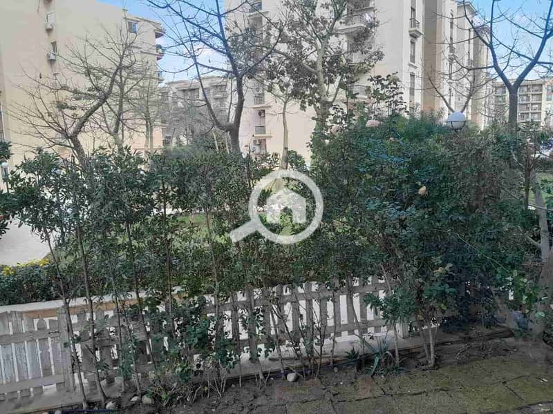 3 IMG_٢٠٢٥١٠٢٦_٠٤٤١١٠. jpg