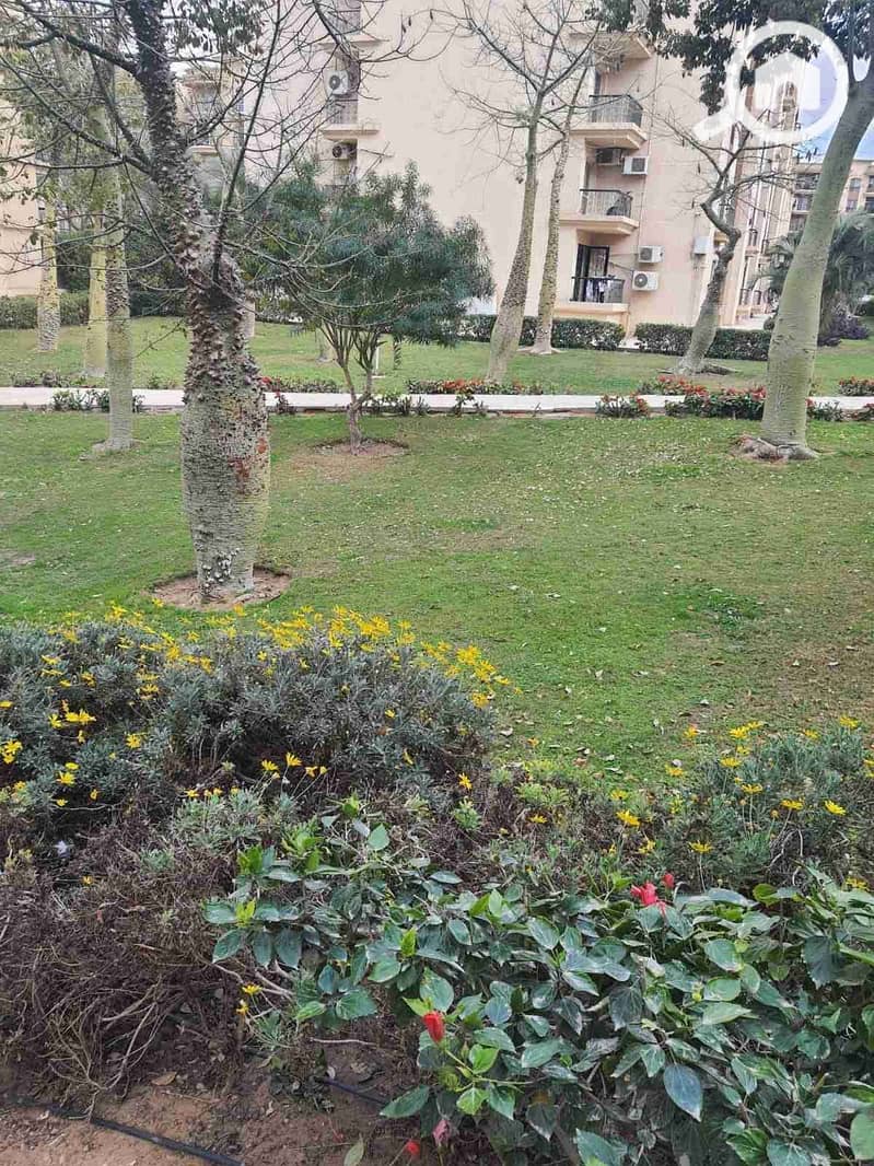 9 IMG_٢٠٢٥١٠٢٦_٠٤٤٤١٦. jpg