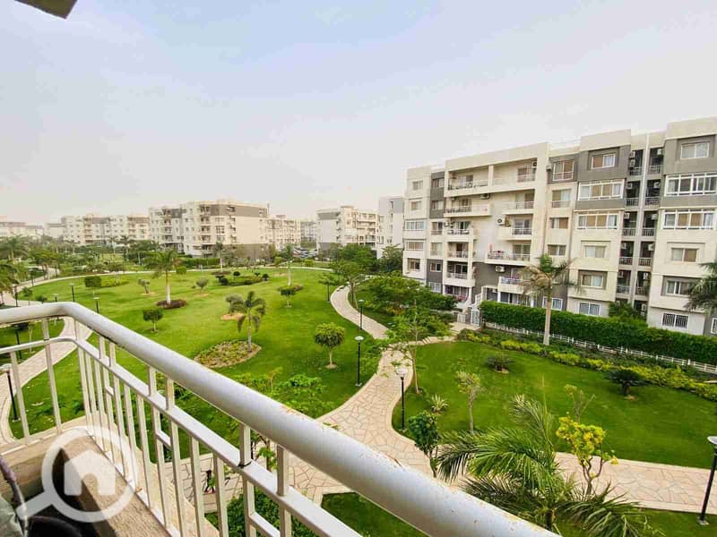 1000750307. jpg 1000750307. jpg