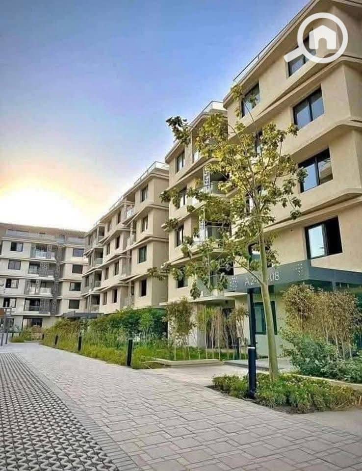 6 559837971_122156525330764402_3718157551951085623_n. jpg