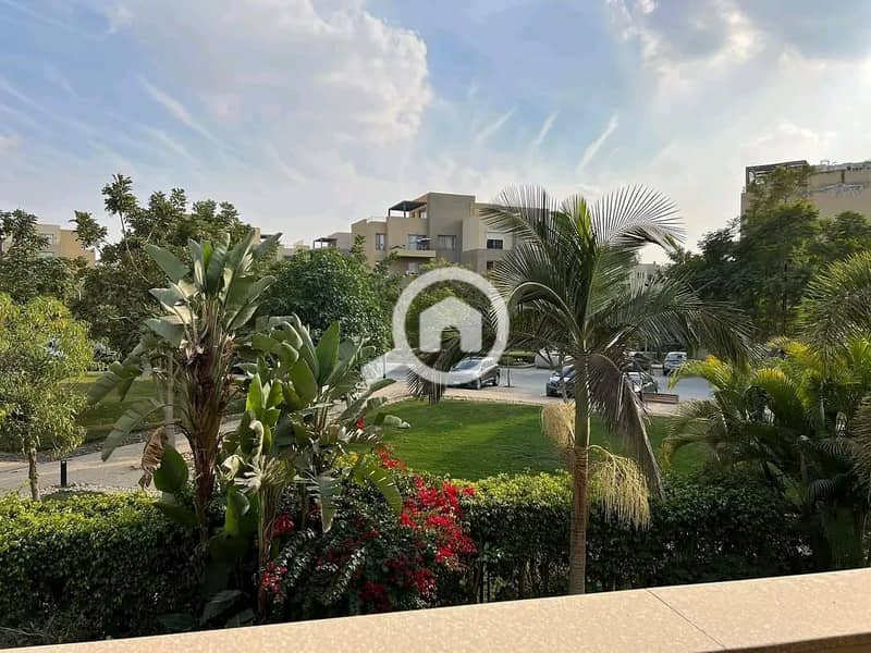 10 571010580_122142532064922617_5664077437942438062_n. jpg