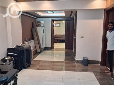 1 Bedroom Flat for Rent in New Cairo, Cairo - WhatsApp Image 2025-11-04 at 14.41. 17_78e52bd4. jpg