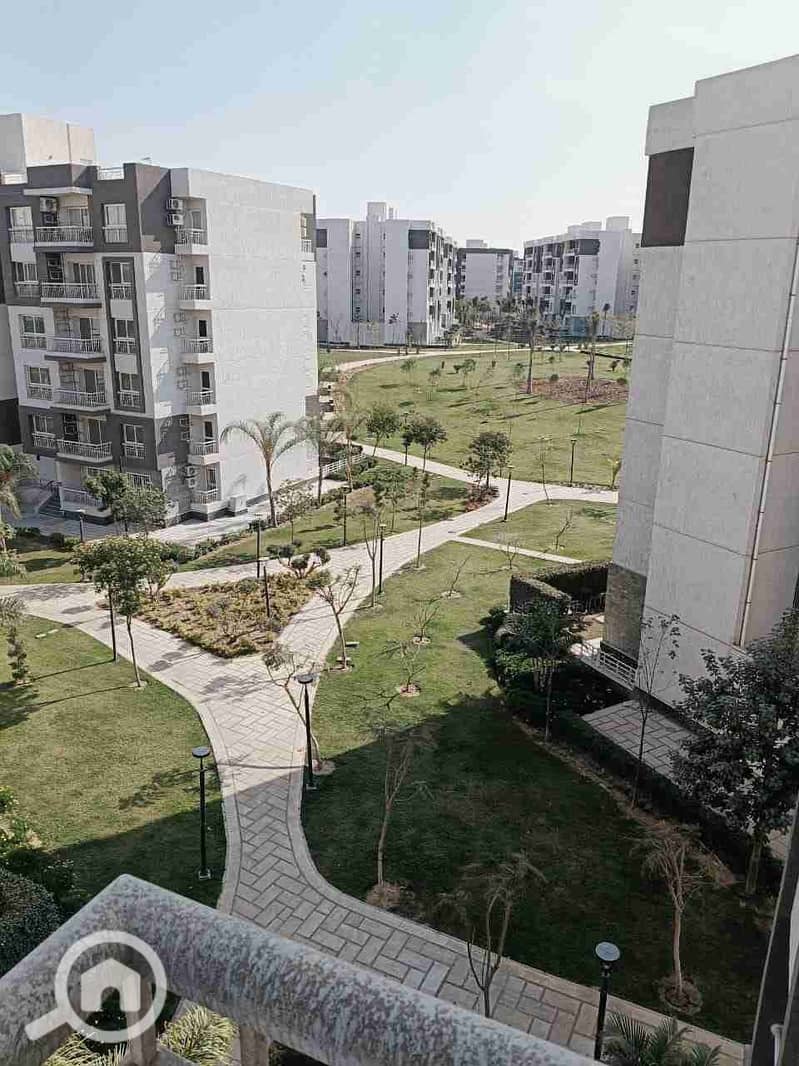 1000389775. jpg 1000389775. jpg