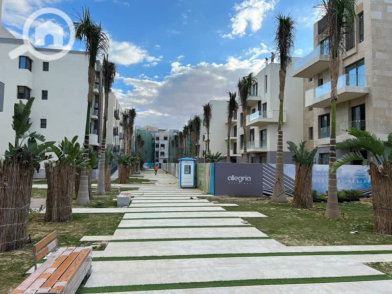 7 WhatsApp Image 2024-07-17 at 13.19. 43_d7341df6. jpg