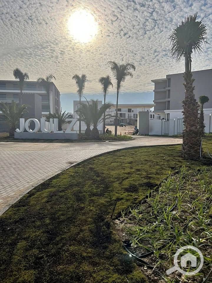 8 491740260_999963685667273_1331461675434911705_n. jpg