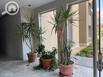 Studio for Rent in New Cairo, Cairo - WhatsApp Image 2025-11-04 at 1.58. 52 PM. jpeg