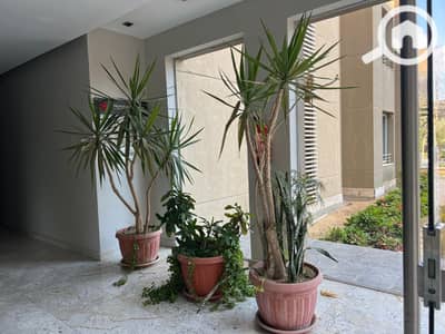 1 Bedroom Flat for Rent in New Cairo, Cairo - WhatsApp Image 2025-11-04 at 1.58. 52 PM. jpeg