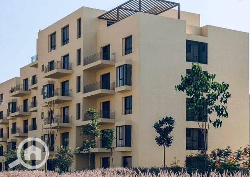 7 Screenshot (2441). png