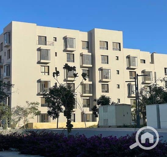 8 Screenshot (2444). png