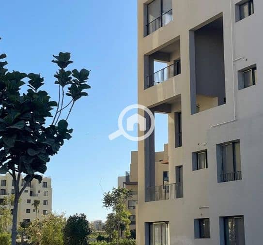 9 Screenshot (2445). png