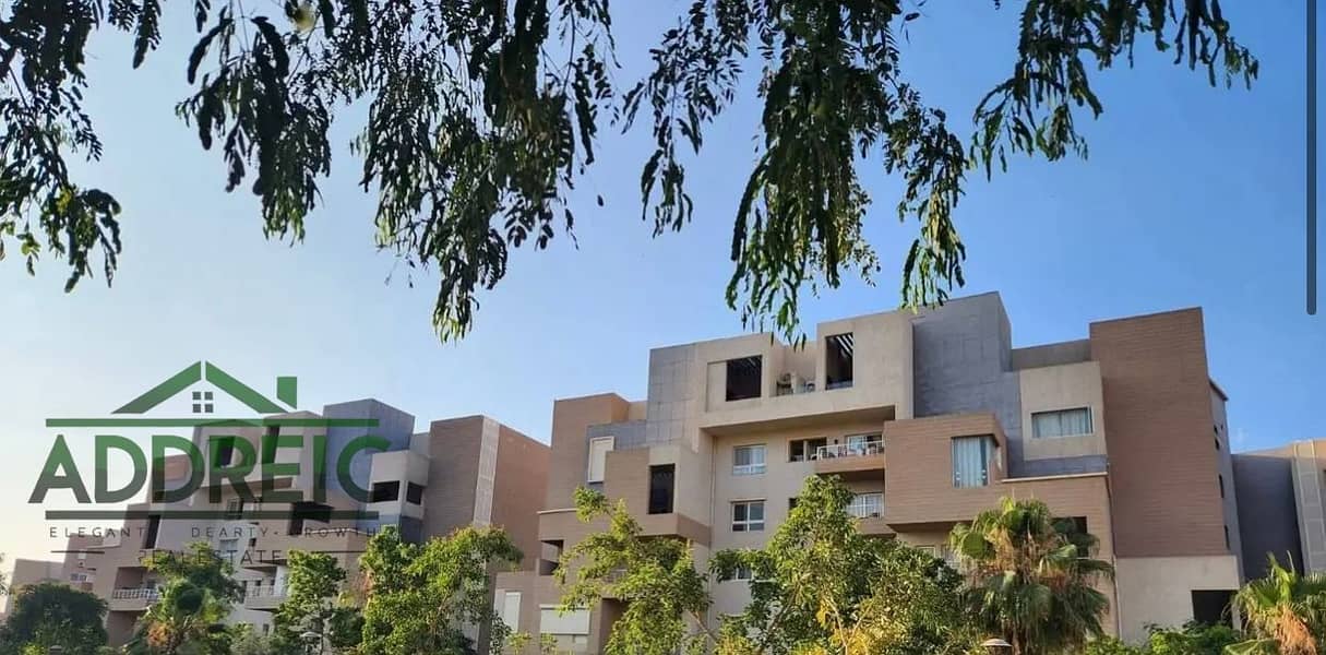 2 d953eacc-54a7-415b-b834-cbc945a64a6b. jpg