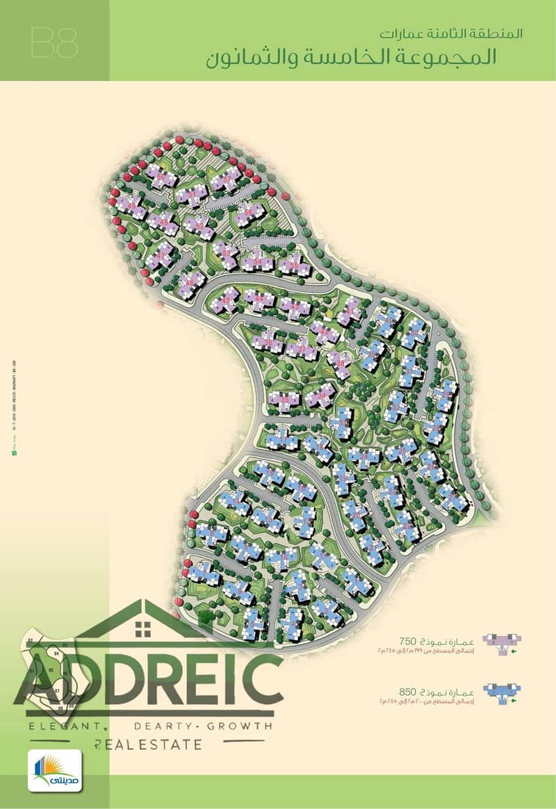 7 465275498_9237346149628236_1836016852138154583_n. jpg