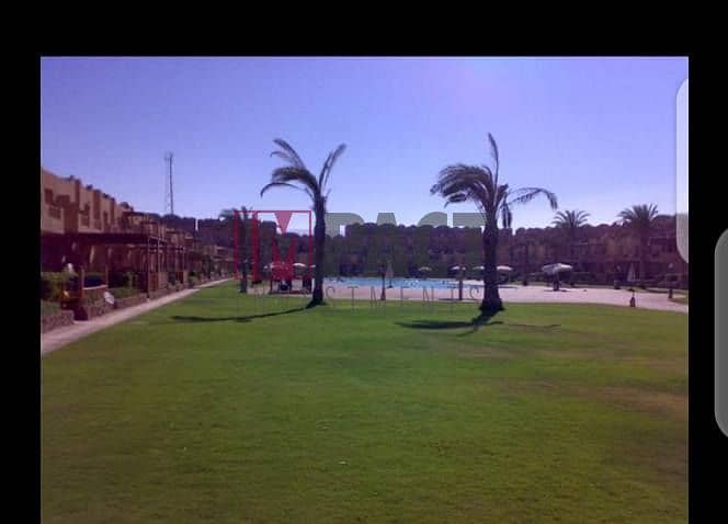 4 495141599_600864346356351_2683925581156351894_n. jpg