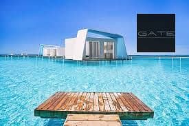 2 فوكا باي 2. jpeg