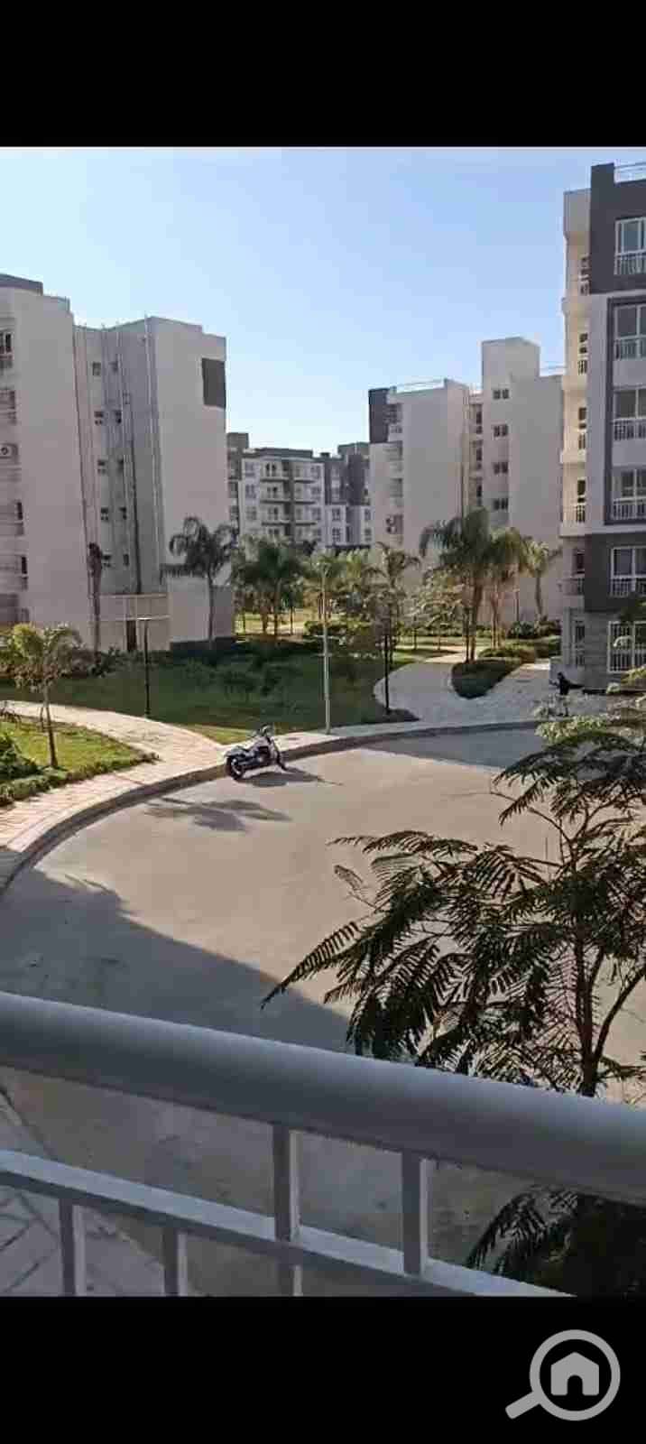 1000389934. jpg 1000389934. jpg