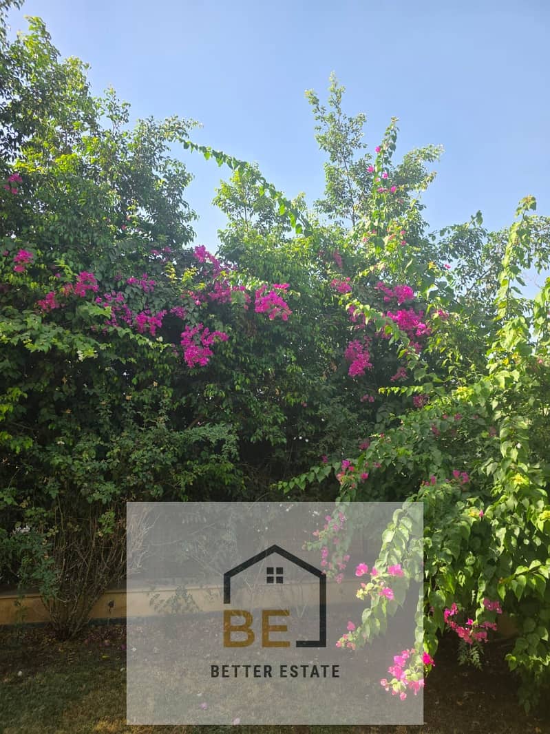 5 WhatsApp Image 2025-10-15 at 5.54. 04 PM. jpeg