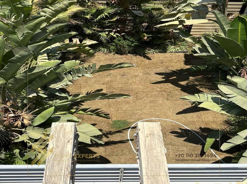 7 WhatsApp Image 2025-11-04 at 1.36. 27 AM (1). jpeg