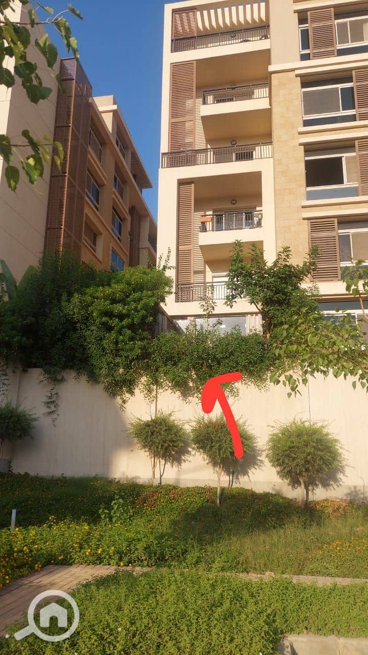 5 WhatsApp Image 2025-11-04 at 06.13. 40_52a5f270. jpg