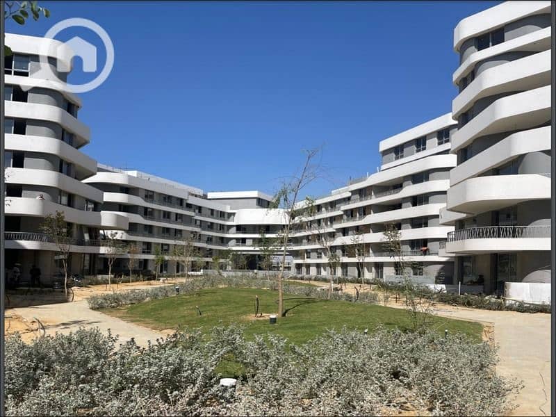 3 WhatsApp Image 2025-11-04 at 12.43. 41_91c5571f. jpg