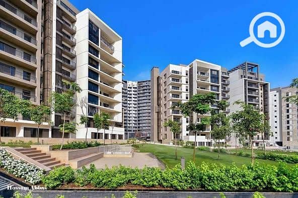 4 557568221_4256821021203805_5417058166820536202_n. jpg