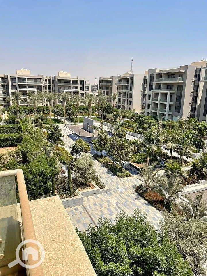 10 548151364_122126857796965801_3458876727448077482_n. jpg