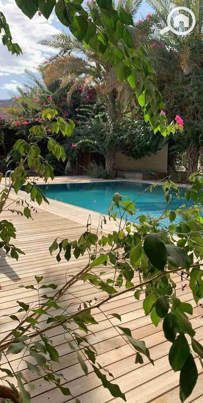 FB_IMG_1762227338278. jpg