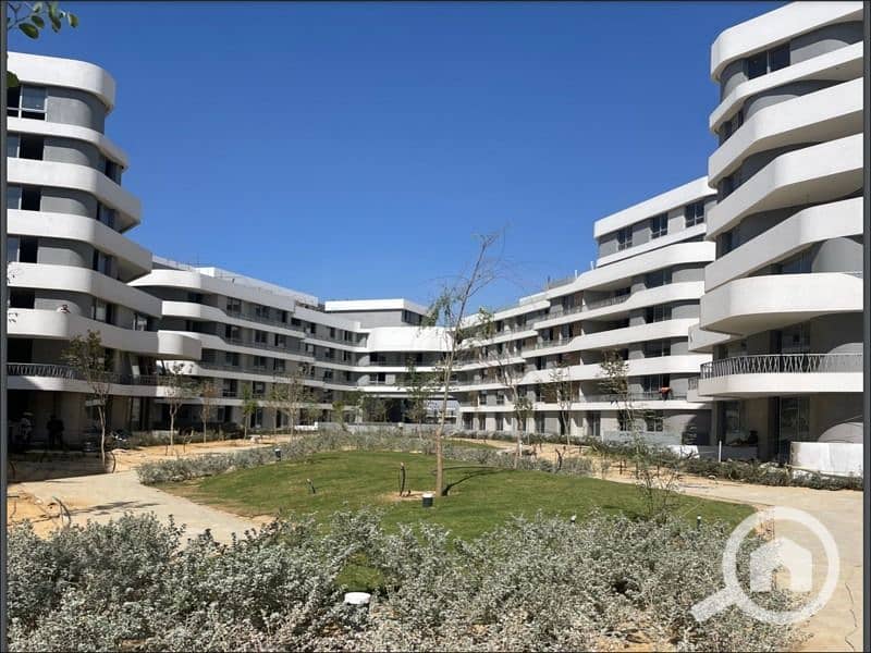 4 WhatsApp Image 2025-11-04 at 12.43. 41_91c5571f. jpg