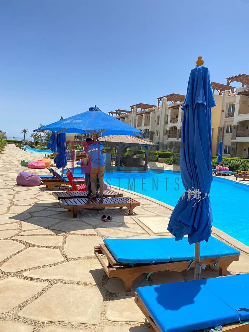 7 1e2c0374-f48e-4bee-aae2-f272929b863b. jpg