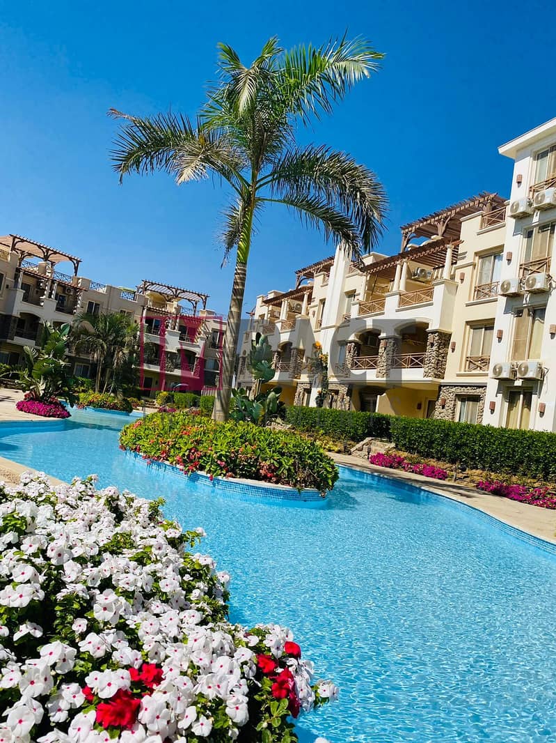 10 c644499e-9c11-441d-81b8-2d4d0b6ee1a4. jpg