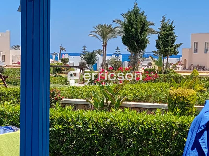 4 498026887_24007557688842442_7732165869250659167_n. jpg