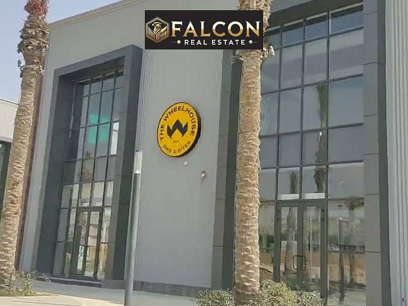 5 WhatsApp Image 2024-11-12 at 1.42. 07 PM (1). jpeg